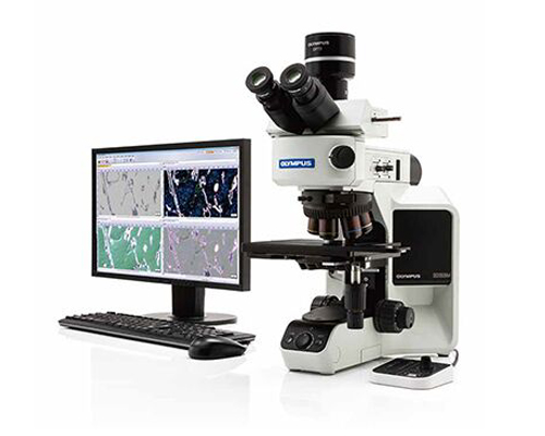 Image-2